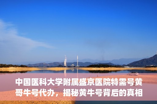 中国医科大学附属盛京医院特需号黄哥牛号代办，揭秘黄牛号背后的真相，盛京医院特需号代办乱象解析