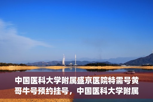 中国医科大学附属盛京医院特需号黄哥牛号预约挂号，中国医科大学附属盛京医院特需号专家黄哥牛号预约挂号攻略