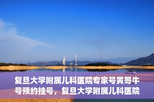 复旦大学附属儿科医院专家号黄哥牛号预约挂号，复旦大学附属儿科医院专家号预约挂号攻略，黄哥牛号预约详解