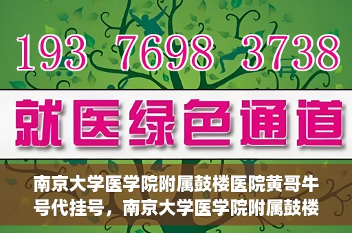 南京大学医学院附属鼓楼医院黄哥牛号代挂号，南京大学医学院附属鼓楼医院黄哥牛号代挂号解析，专业解读与预约攻略
