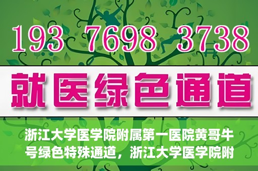 浙江大学医学院附属第一医院黄哥牛号绿色特殊通道，浙江大学医学院附属第一医院绿色特殊通道，黄哥牛号引领医疗创新之路