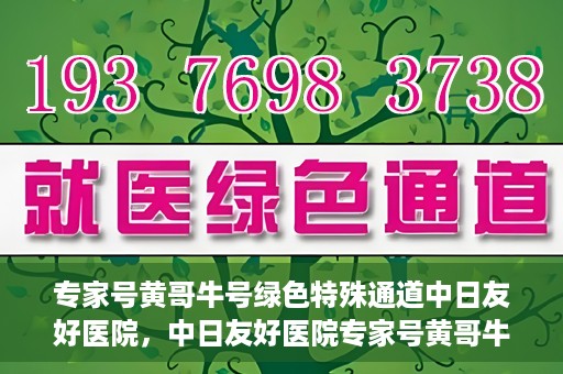 专家号黄哥牛号绿色特殊通道中日友好医院，中日友好医院专家号黄哥牛号开启绿色特殊通道，助力健康中日交流新篇章