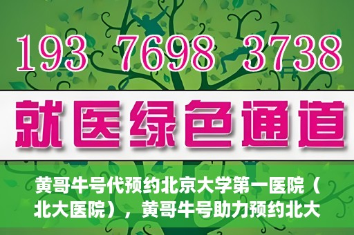 黄哥牛号代预约北京大学第一医院（北大医院），黄哥牛号助力预约北大医院——北京大学第一医院权威预约服务开启