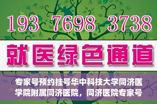 专家号预约挂号华中科技大学同济医学院附属同济医院，同济医院专家号预约挂号攻略，深度解析华中科技大学同济医学院附属同济医院医疗服务