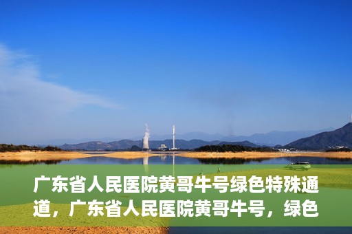 广东省人民医院黄哥牛号绿色特殊通道，广东省人民医院黄哥牛号，绿色特殊通道开启健康之门