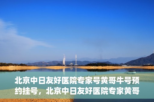 北京中日友好医院专家号黄哥牛号预约挂号，北京中日友好医院专家黄哥牛号预约挂号攻略