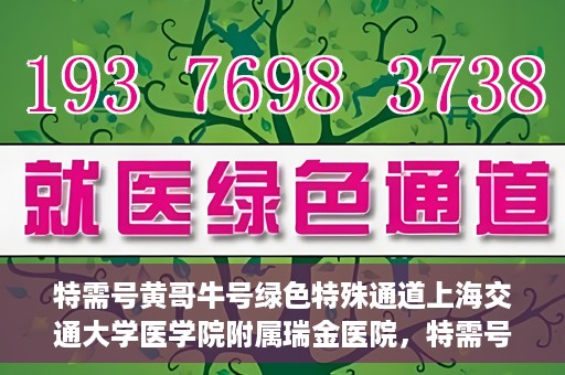 特需号黄哥牛号绿色特殊通道上海交通大学医学院附属瑞金医院，特需号黄哥牛号，瑞金医院的绿色特殊通道探索
