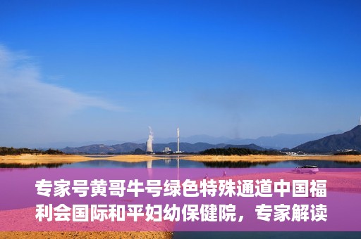 专家号黄哥牛号绿色特殊通道中国福利会国际和平妇幼保健院，专家解读绿色特殊通道，中国福利会国际和平妇幼保健院的新篇章