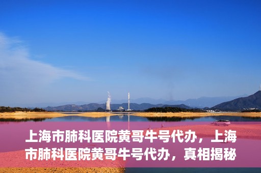 上海市肺科医院黄哥牛号代办，上海市肺科医院黄哥牛号代办，真相揭秘与深度解读