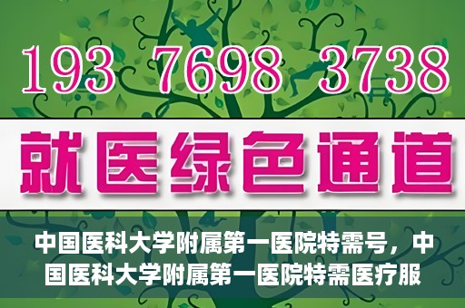 中国医科大学附属第一医院特需号，中国医科大学附属第一医院特需医疗服务介绍