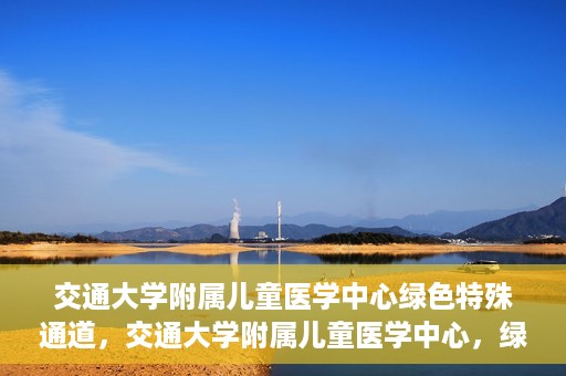 交通大学附属儿童医学中心绿色特殊通道，交通大学附属儿童医学中心，绿色特殊通道，守护儿童健康之路