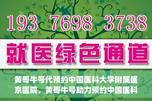 黄哥牛号代预约中国医科大学附属盛京医院，黄哥牛号助力预约中国医科大学附属盛京医院专业服务