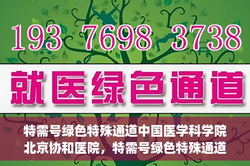 特需号绿色特殊通道中国医学科学院北京协和医院，特需号绿色特殊通道，中国医学科学院北京协和医院就医体验优化之路