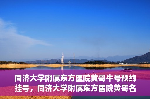 同济大学附属东方医院黄哥牛号预约挂号，同济大学附属东方医院黄哥名医牛号预约挂号攻略