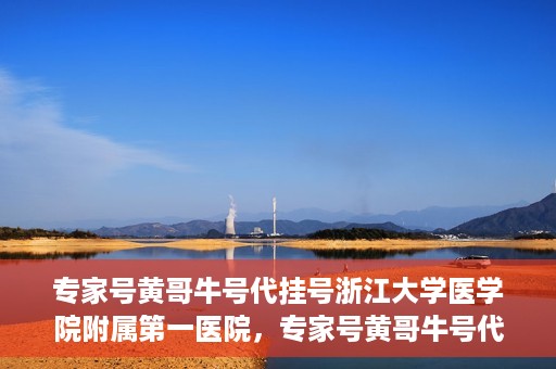 专家号黄哥牛号代挂号浙江大学医学院附属第一医院，专家号黄哥牛号代挂号浙江大学医学院附属第一医院，深度解读与预约攻略