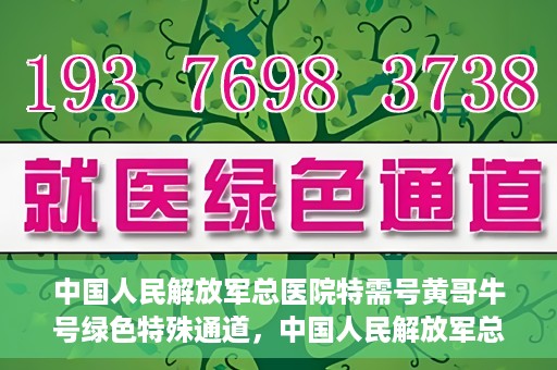中国人民解放军总医院特需号黄哥牛号绿色特殊通道，中国人民解放军总医院特需号黄哥牛号，绿色通道的温暖守护