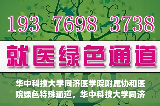华中科技大学同济医学院附属协和医院绿色特殊通道，华中科技大学同济医学院附属协和医院，绿色特殊通道的探索与实践