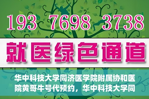 华中科技大学同济医学院附属协和医院黄哥牛号代预约，华中科技大学同济医学院附属协和医院预约服务揭秘，黄哥牛号代预约解析