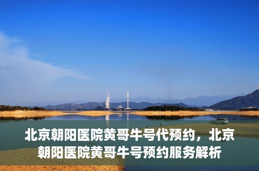 北京朝阳医院黄哥牛号代预约，北京朝阳医院黄哥牛号预约服务解析