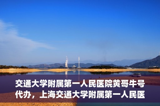 交通大学附属第一人民医院黄哥牛号代办，上海交通大学附属第一人民医院黄哥牛号代办攻略