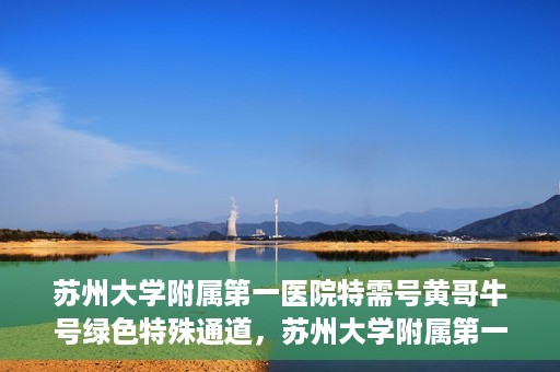 苏州大学附属第一医院特需号黄哥牛号绿色特殊通道，苏州大学附属第一医院特需号黄哥牛号绿色就医通道揭秘