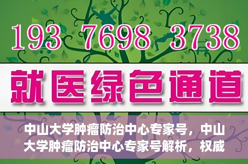 中山大学肿瘤防治中心专家号，中山大学肿瘤防治中心专家号解析，权威解读与前沿治疗技术探讨