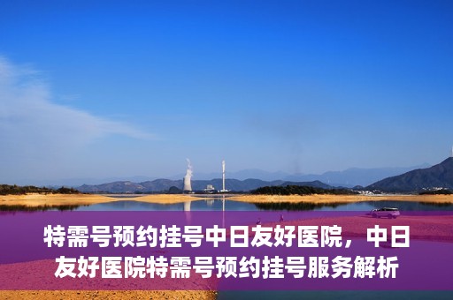 特需号预约挂号中日友好医院，中日友好医院特需号预约挂号服务解析