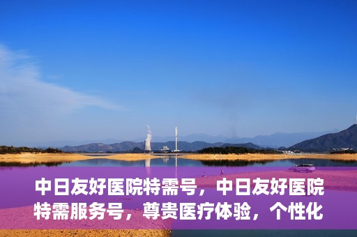 中日友好医院特需号，中日友好医院特需服务号，尊贵医疗体验，个性化健康守护