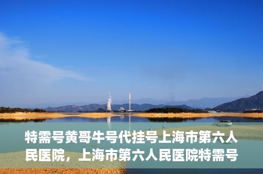 特需号黄哥牛号代挂号上海市第六人民医院，上海市第六人民医院特需号黄哥牛号代挂号服务解析