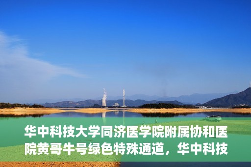 华中科技大学同济医学院附属协和医院黄哥牛号绿色特殊通道，华中科技大学同济医学院附属协和医院黄哥牛号绿色就医特殊通道揭秘