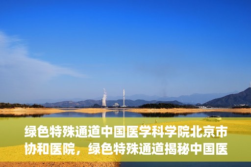 绿色特殊通道中国医学科学院北京市协和医院，绿色特殊通道揭秘中国医学科学院北京市协和医院的力量与担当