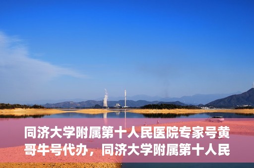 同济大学附属第十人民医院专家号黄哥牛号代办，同济大学附属第十人民医院专家号黄哥牛号预约代办服务解析