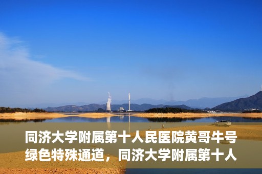 同济大学附属第十人民医院黄哥牛号绿色特殊通道，同济大学附属第十人民医院黄哥牛号，绿色特殊通道开启健康之门