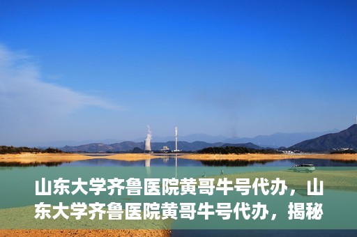 山东大学齐鲁医院黄哥牛号代办，山东大学齐鲁医院黄哥牛号代办，揭秘背后的故事与真相