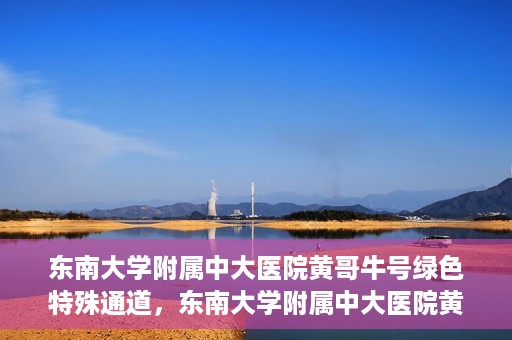 东南大学附属中大医院黄哥牛号绿色特殊通道，东南大学附属中大医院黄哥牛号，绿色特殊通道开启生命之门