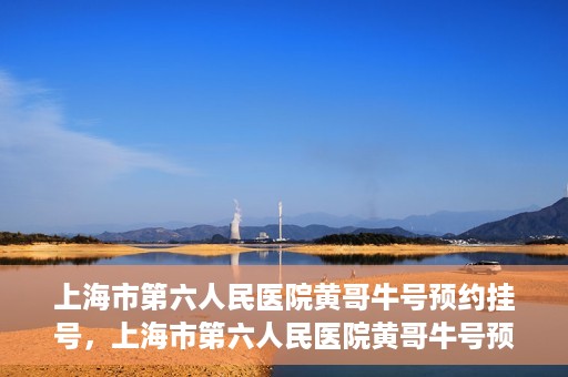 上海市第六人民医院黄哥牛号预约挂号，上海市第六人民医院黄哥牛号预约挂号攻略，轻松挂号，便捷就医体验