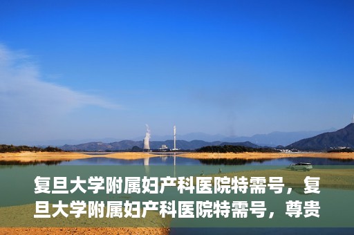 复旦大学附属妇产科医院特需号，复旦大学附属妇产科医院特需号，尊贵医疗体验，专业守护女性健康