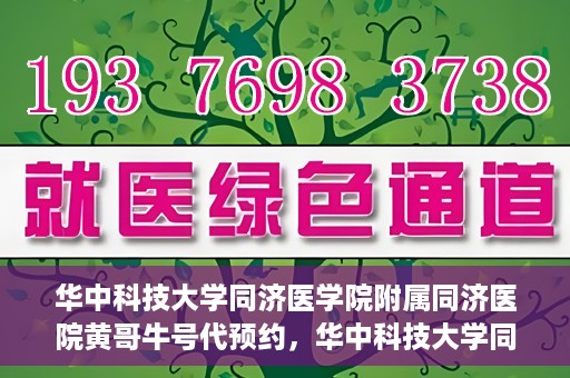 华中科技大学同济医学院附属同济医院黄哥牛号代预约，华中科技大学同济医院黄哥牛号预约服务解析