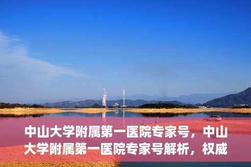 中山大学附属第一医院专家号，中山大学附属第一医院专家号解析，权威医疗团队的专业解读与诊疗之道
