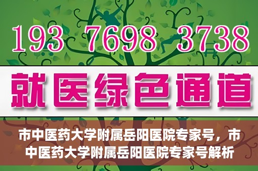 市中医药大学附属岳阳医院专家号，市中医药大学附属岳阳医院专家号解析，权威医疗团队的专业解读与诊疗体验分享