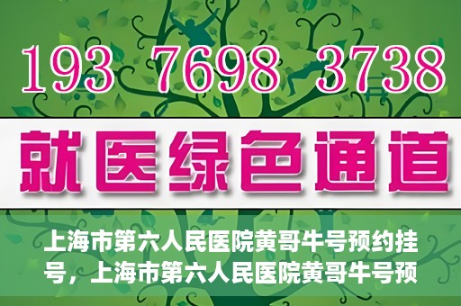 上海市第六人民医院黄哥牛号预约挂号，上海市第六人民医院黄哥牛号预约挂号攻略，轻松挂号，便捷就医体验