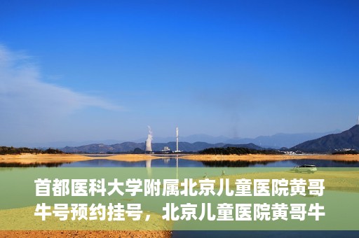 首都医科大学附属北京儿童医院黄哥牛号预约挂号，北京儿童医院黄哥牛号预约挂号攻略，轻松挂号，无忧就医体验