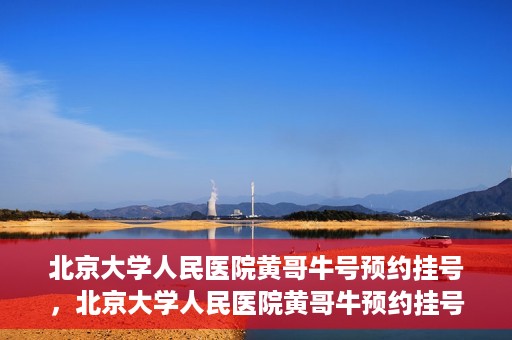 北京大学人民医院黄哥牛号预约挂号，北京大学人民医院黄哥牛预约挂号攻略，轻松预约，便捷就医
