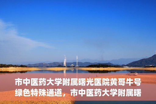 市中医药大学附属曙光医院黄哥牛号绿色特殊通道，市中医药大学附属曙光医院黄哥牛号，绿色特殊通道开启健康之门