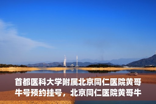 首都医科大学附属北京同仁医院黄哥牛号预约挂号，北京同仁医院黄哥牛号预约挂号攻略，专业医疗服务的便捷通道