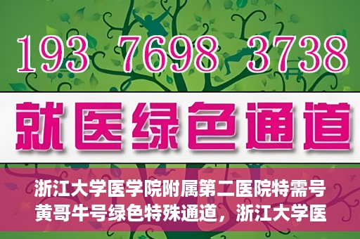 浙江大学医学院附属第二医院特需号黄哥牛号绿色特殊通道，浙江大学医学院附属第二医院特需号黄哥牛号，绿色就医通道揭秘