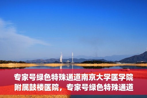 专家号绿色特殊通道南京大学医学院附属鼓楼医院，专家号绿色特殊通道，南京大学医学院附属鼓楼医院的医疗创新与探索