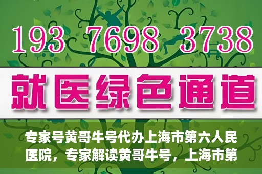 专家号黄哥牛号代办上海市第六人民医院，专家解读黄哥牛号，上海市第六人民医院代办服务深度解析