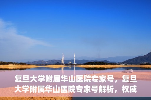 复旦大学附属华山医院专家号，复旦大学附属华山医院专家号解析，权威医疗团队与精准诊疗服务