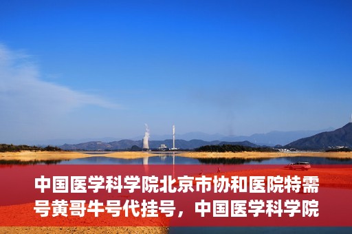 中国医学科学院北京市协和医院特需号黄哥牛号代挂号，中国医学科学院北京市协和医院特需号黄哥牛号代挂号服务解析